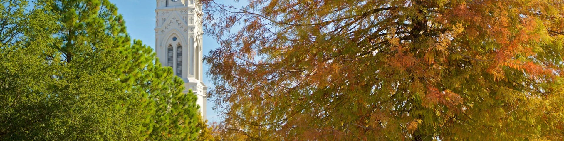 Baton Rouge showing heritage elements