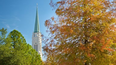 Baton Rouge which includes heritage elements