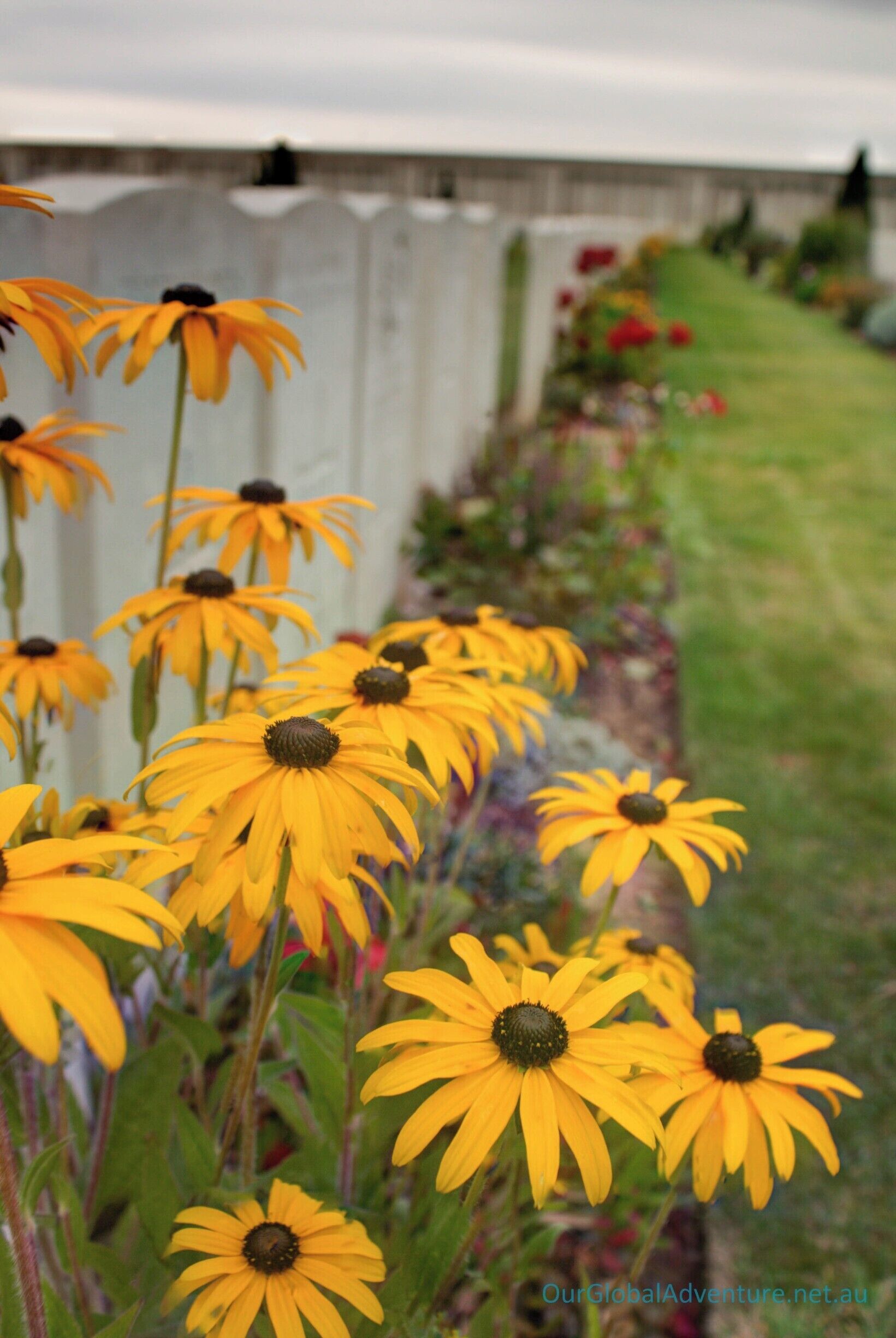 The British WWI War Cemetery at Pozieres in France. The resting place of countless Commonwealth Soldiers...