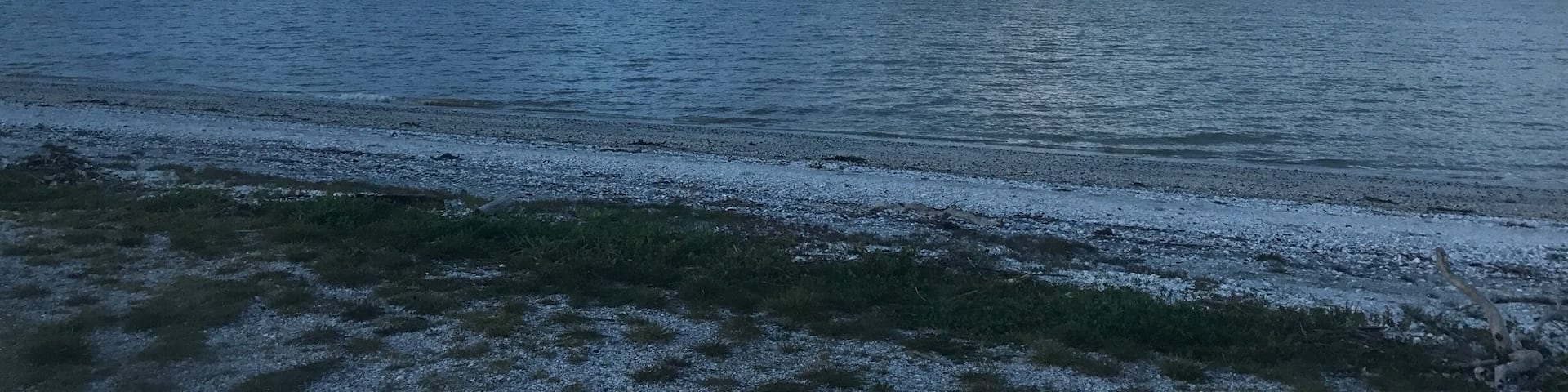 Free camp spot for self contained, little windy but the birds keep you entertained