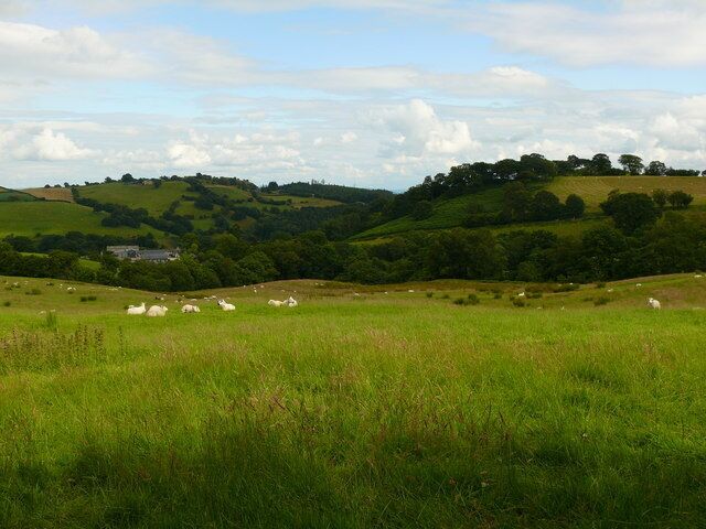 Ffridd Llwydiarth Caeau amaethyddol uwchben Dolwar Hall / Agricultural fields above Dolwar Hall