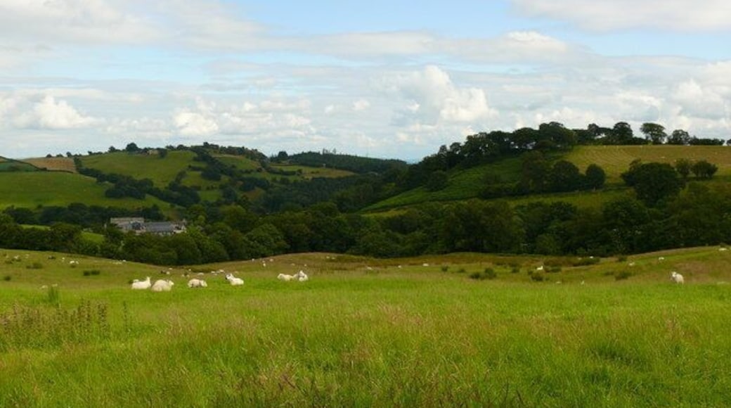 Ffridd Llwydiarth Caeau amaethyddol uwchben Dolwar Hall / Agricultural fields above Dolwar Hall