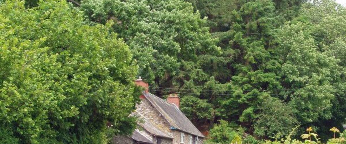 A stone house with a thatched roof surrounded by lush greenery and trees.