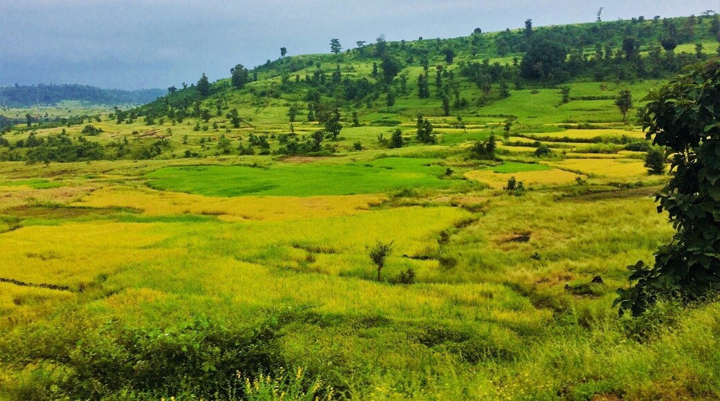 Some where near a small town...the colours of nature have scored their best complements.