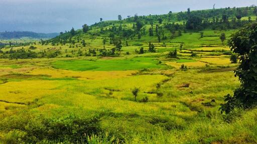 Some where near a small town...the colours of nature have scored their best complements.
