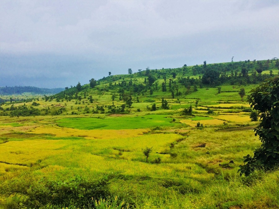 Some where near a small town...the colours of nature have scored their best complements.