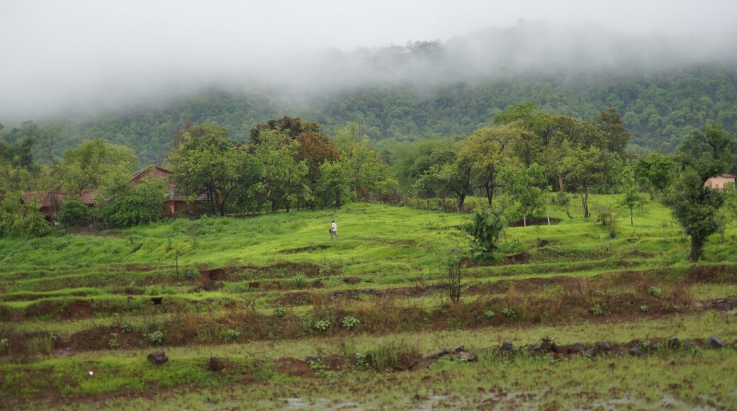 Random click during a short road trip. Best time to visit in monsoons that is between june-august.