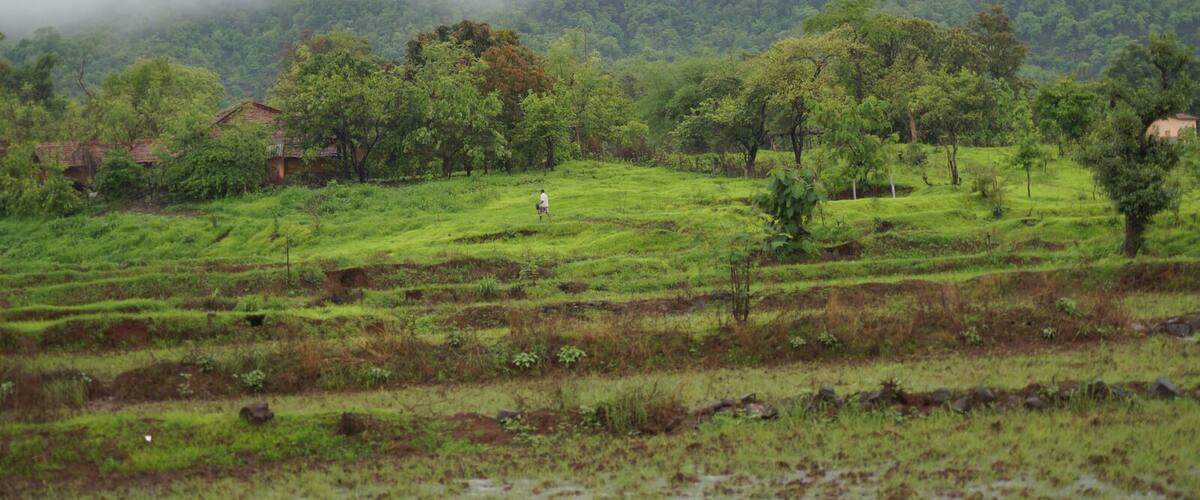 Random click during a short road trip. Best time to visit in monsoons that is between june-august.