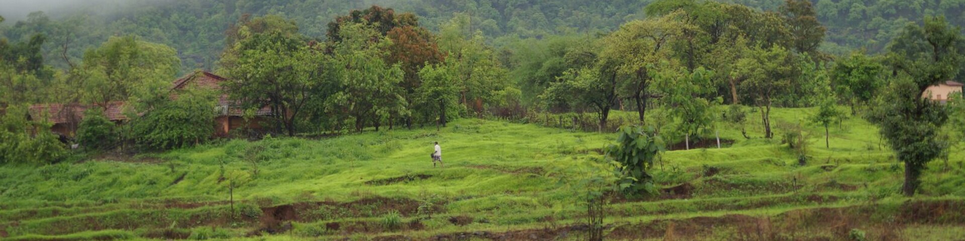 Random click during a short road trip. Best time to visit in monsoons that is between june-august.