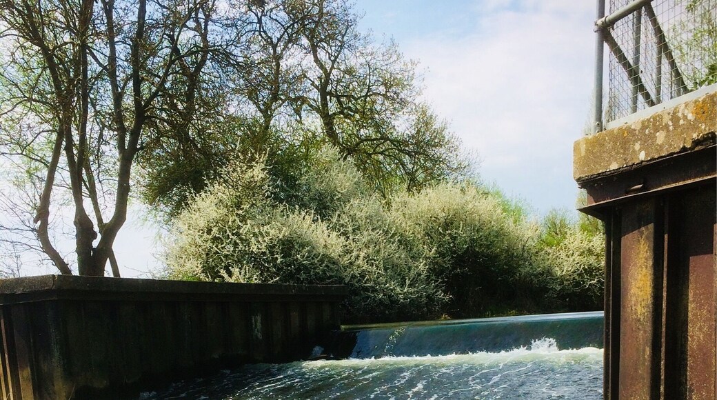 Lovely stroll along the River Nene by Kislingbury