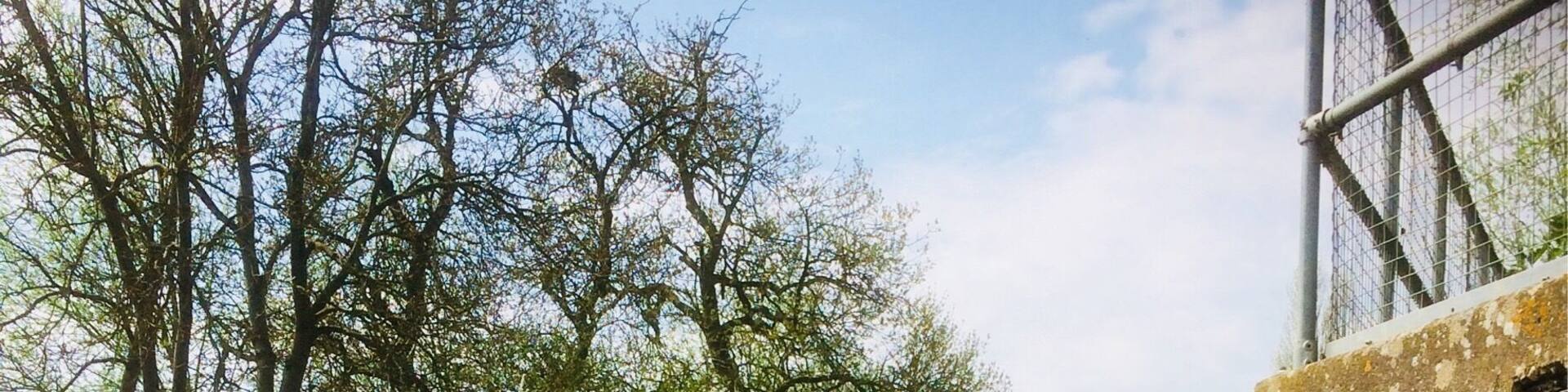 Lovely stroll along the River Nene by Kislingbury