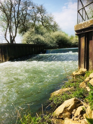 Lovely stroll along the River Nene by Kislingbury