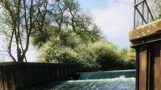 Lovely stroll along the River Nene by Kislingbury