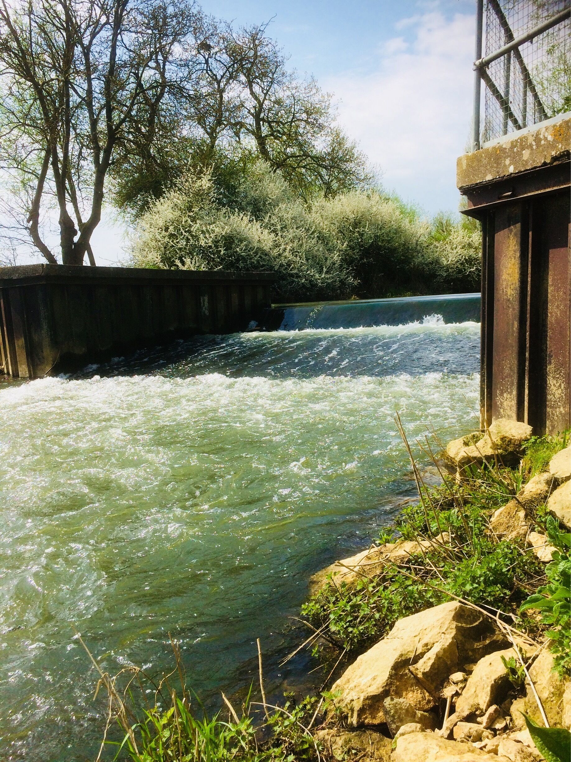 A river flowing under a bridge with trees and rocks along the banks.