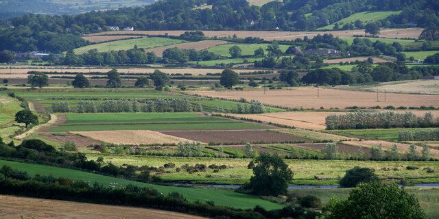 Wide Haugh Part of the flood plain of the River Tyne.