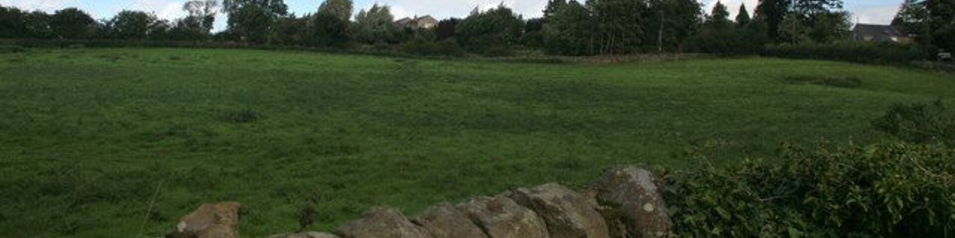 Oakwood Fields at Oakwood.