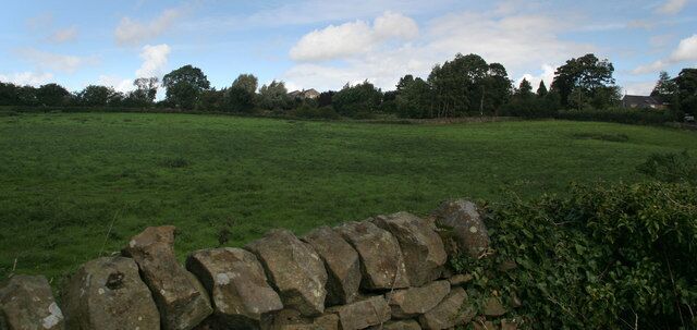 A rural landscape with a stone wall in the foreground and a field of grass.