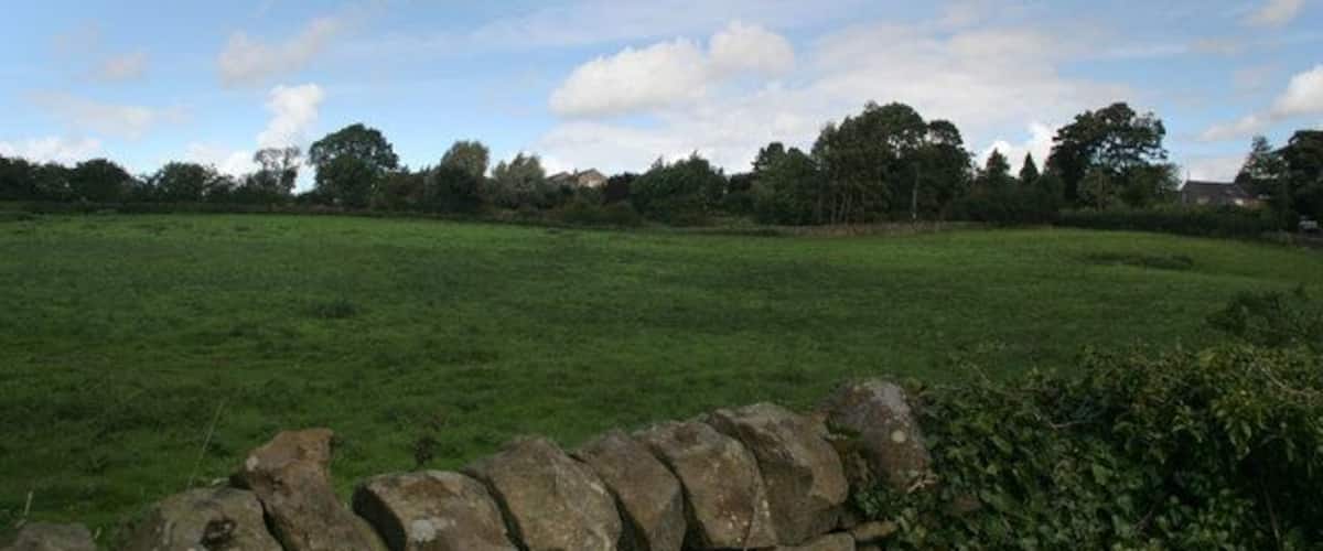 A rural landscape with a stone wall in the foreground and a field of grass.
