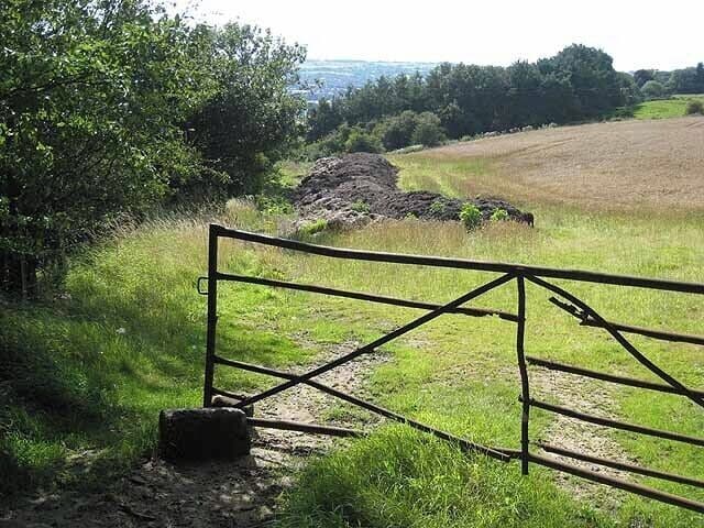The path from Beaufront Castle to Anick