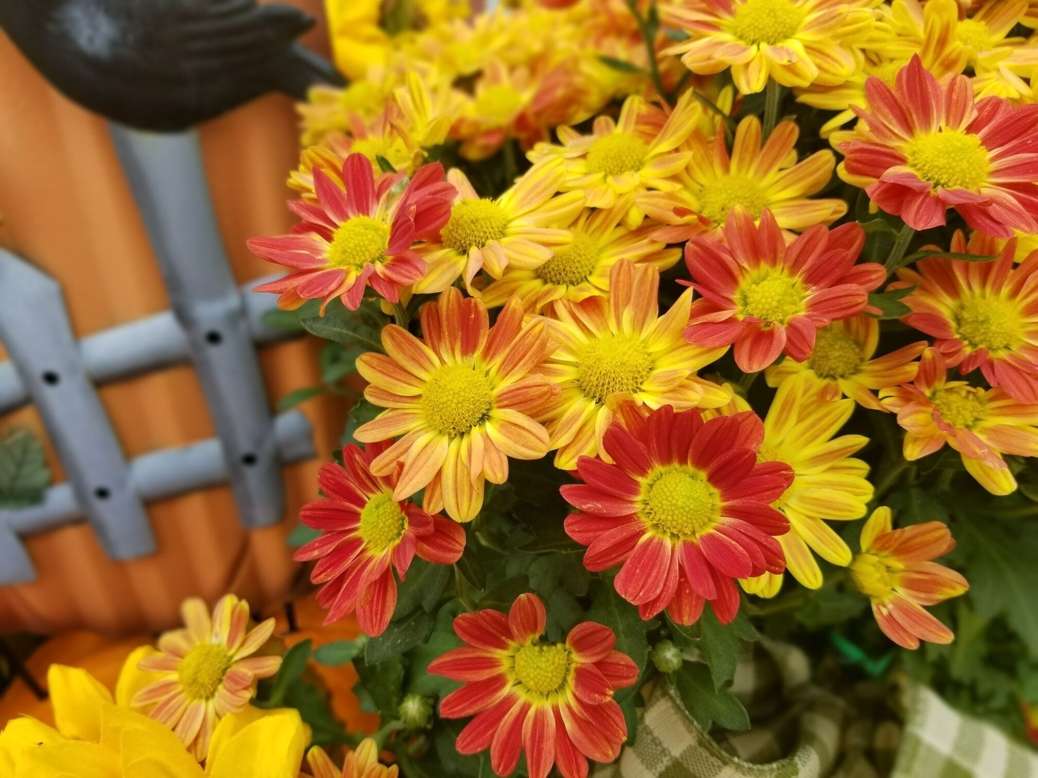 My family and I love this place.