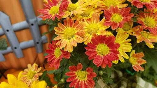 My family and I love this place.