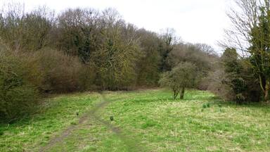 Rectory Meadow is a Local Nature Reserve in Longfield in Kent.