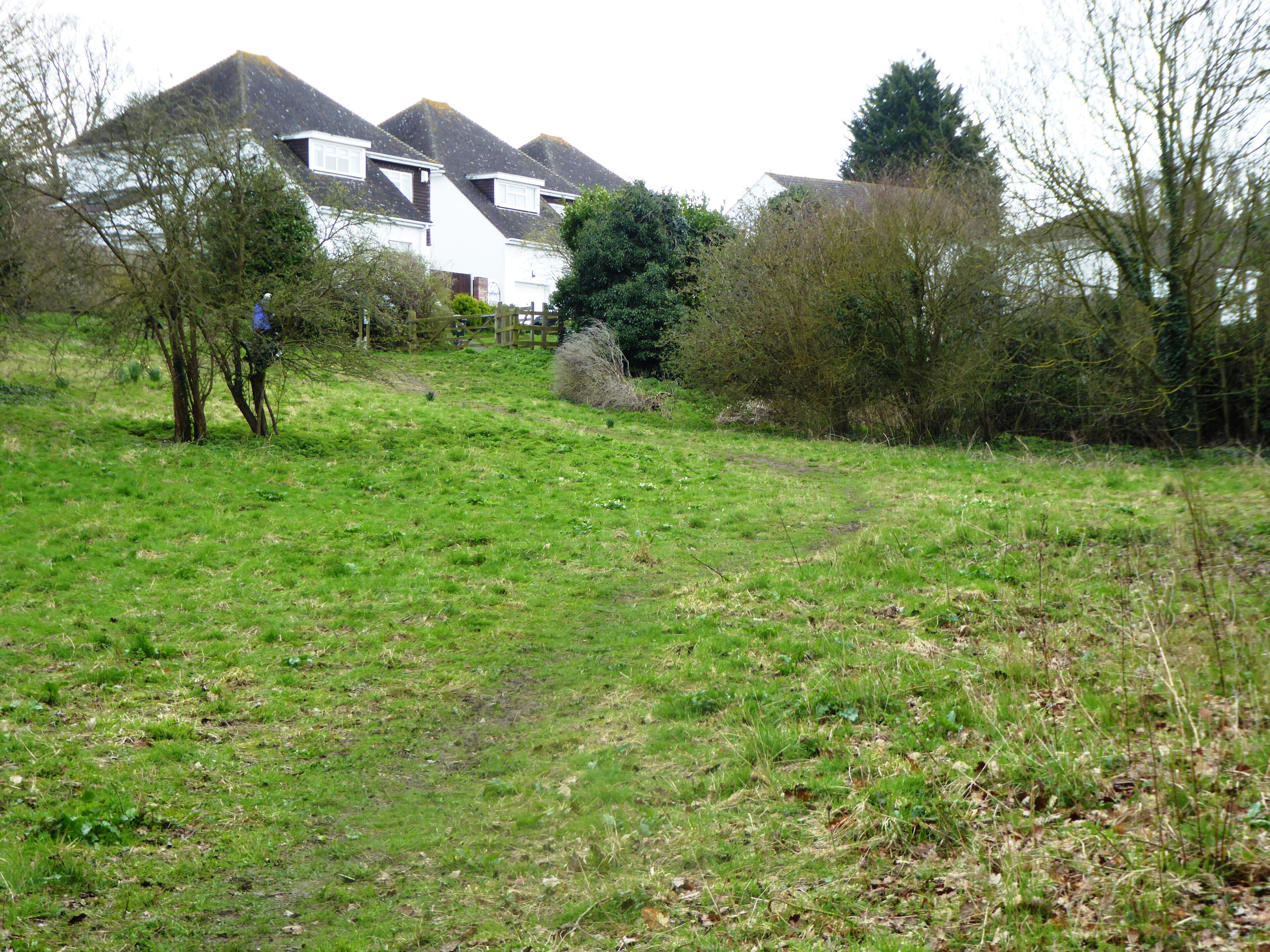 Rectory Meadow is a Local Nature Reserve in Longfield in Kent.