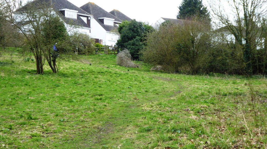 Rectory Meadow is a Local Nature Reserve in Longfield in Kent.