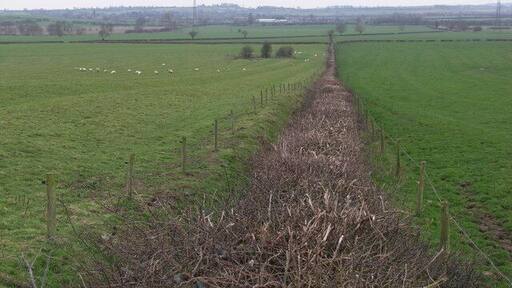 The Great Divide. Hedgerow dividing two large fields in a featureless SP7690.