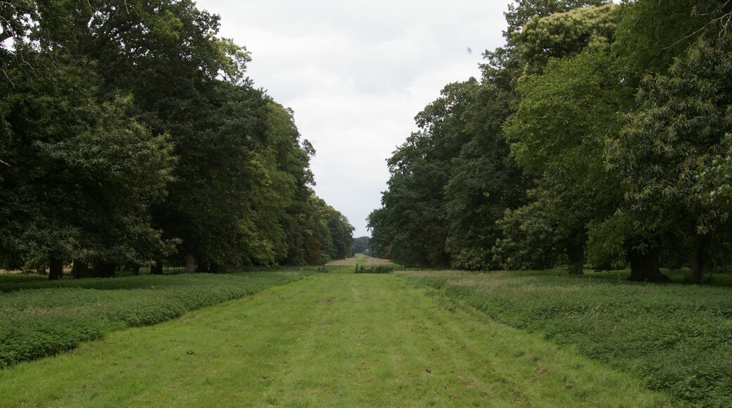The Chase, Stow Hall, looking north The Chase is a long avenue running a mile or so from the site of the former Stow Hall to a lodge on Runcton Road.