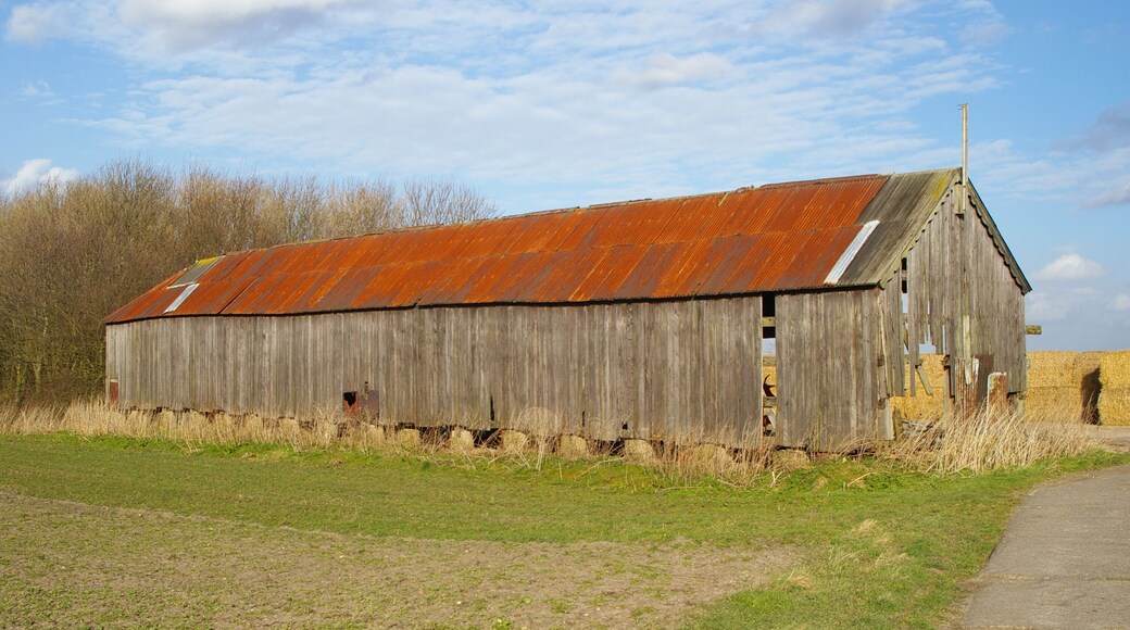 Fen Cottage This building is marked in the OS 1:25000 map as "Fen Cottage", though it seems to be more of a shed than a cottage, really.