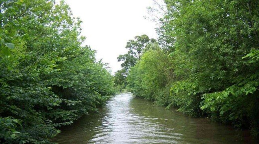 Chesterfield Canal, Wiseton