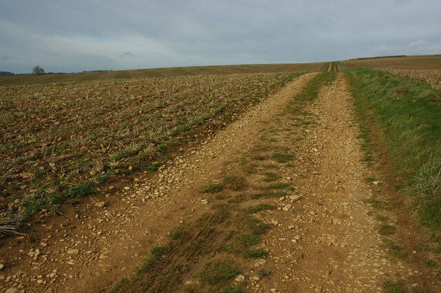 Bridleway to Upper Coberley Bridleway to Upper Coberley pictured here to the north of Westbury Farm.