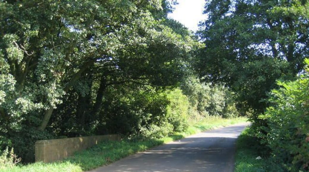 Shutford Bridge. Although named on the OS Map this bridge over a stream in the NE corner of the square is not particularly distinctive.