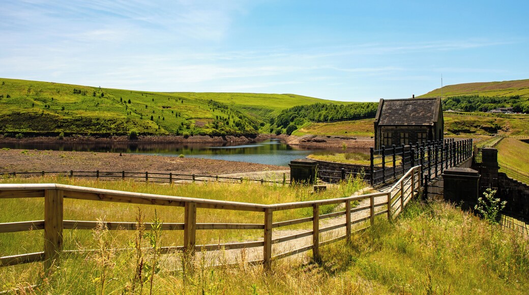 Hackensack Meadowlands Conservation and Wildlife Area