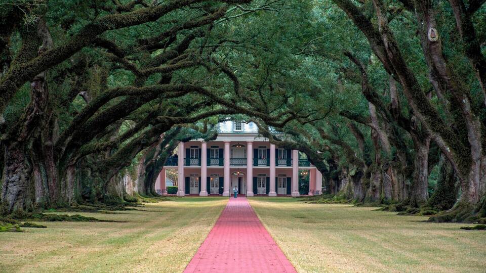 A building with a red pathway leading to it, surrounded by large trees with moss-covered branches.