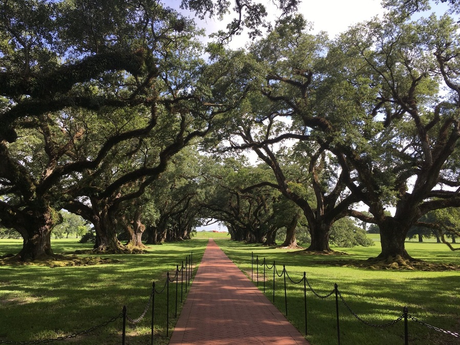 Oak Alley - the name says it all. The old Creole plantation houses are not as fancy as I had imagined, but they are an authentic step back in time. Many of them were only three rooms across and one deep, with wide verandas of course. It's the alleys of centuries old oaks with their Spanish moss that give them majesty.