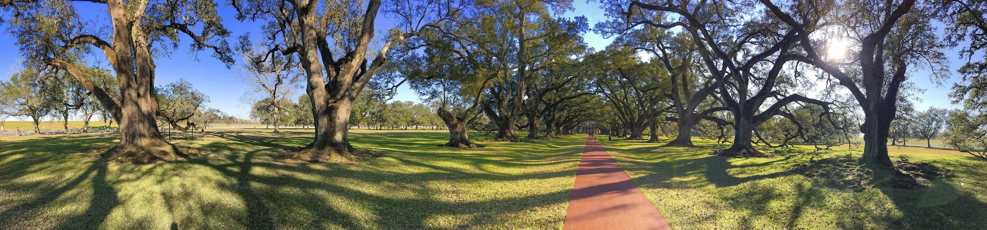 Oak Alley plantation trees on a beautiful sunny day, Louisiana - Panoramic view