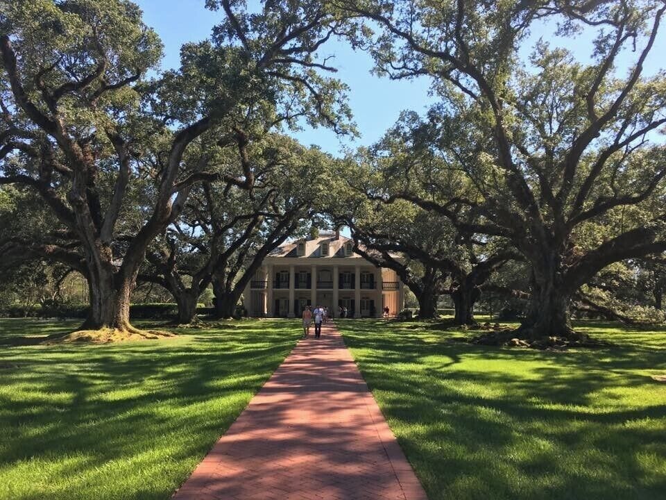 A pathway leading to a large building surrounded by large trees.
