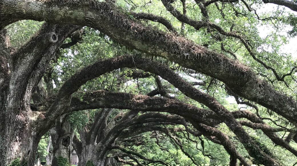 Paroisse de Saint-Jacques