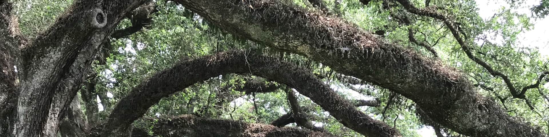 Don’t give up. Today’s mighty oak is just yesterday’s but that held its ground #adventure