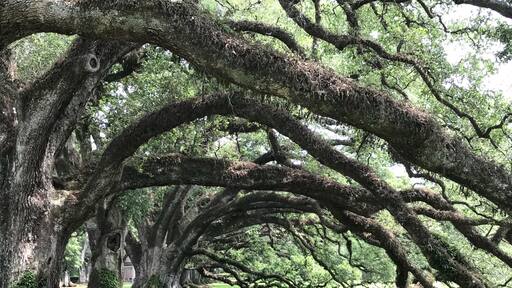 Don’t give up. Today’s mighty oak is just yesterday’s but that held its ground #adventure