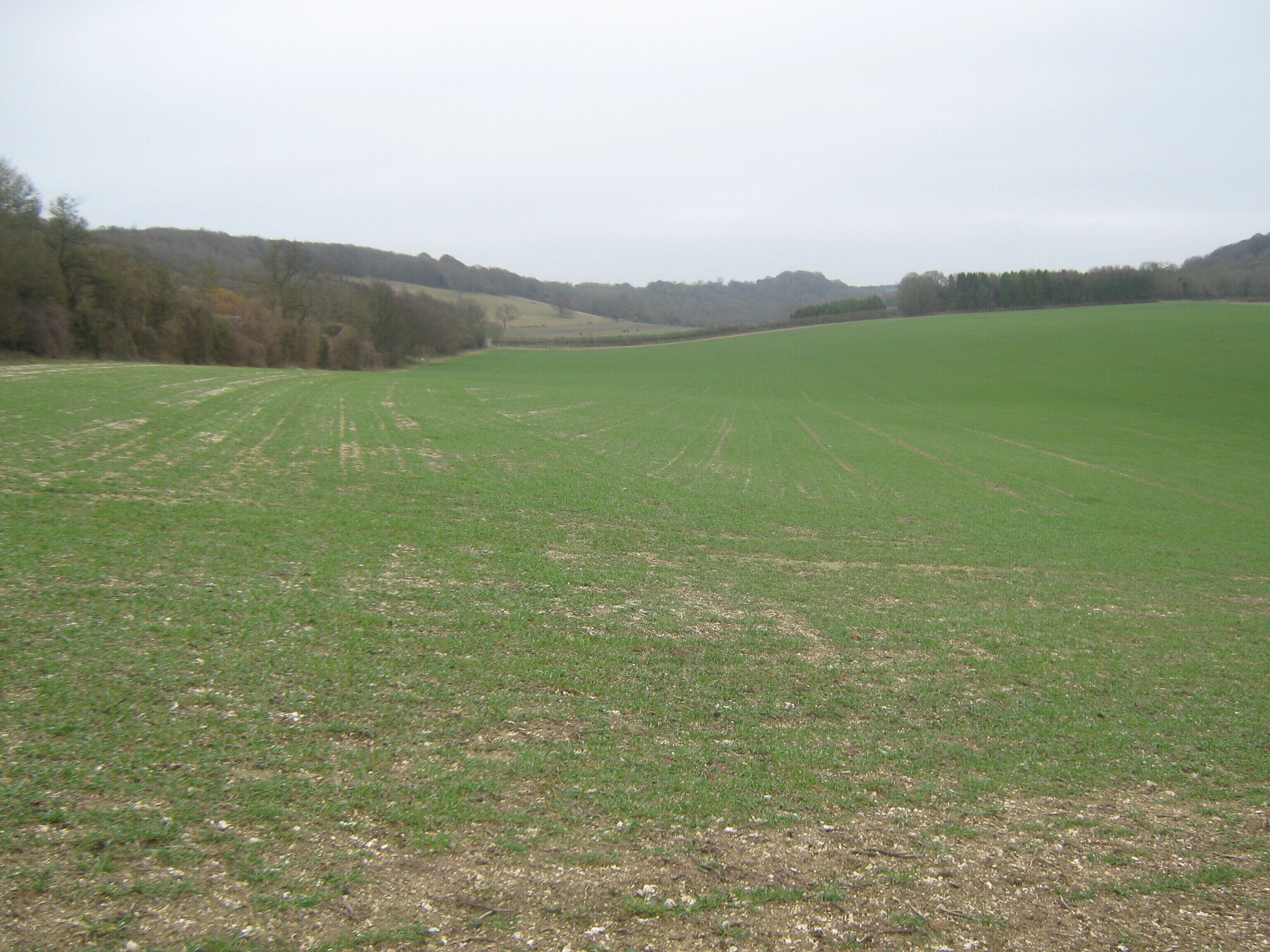 Crundale Downs Valley View from a footpath near Crundale House. Fanscombe Wood is on the right. Towns Wood is on the left.