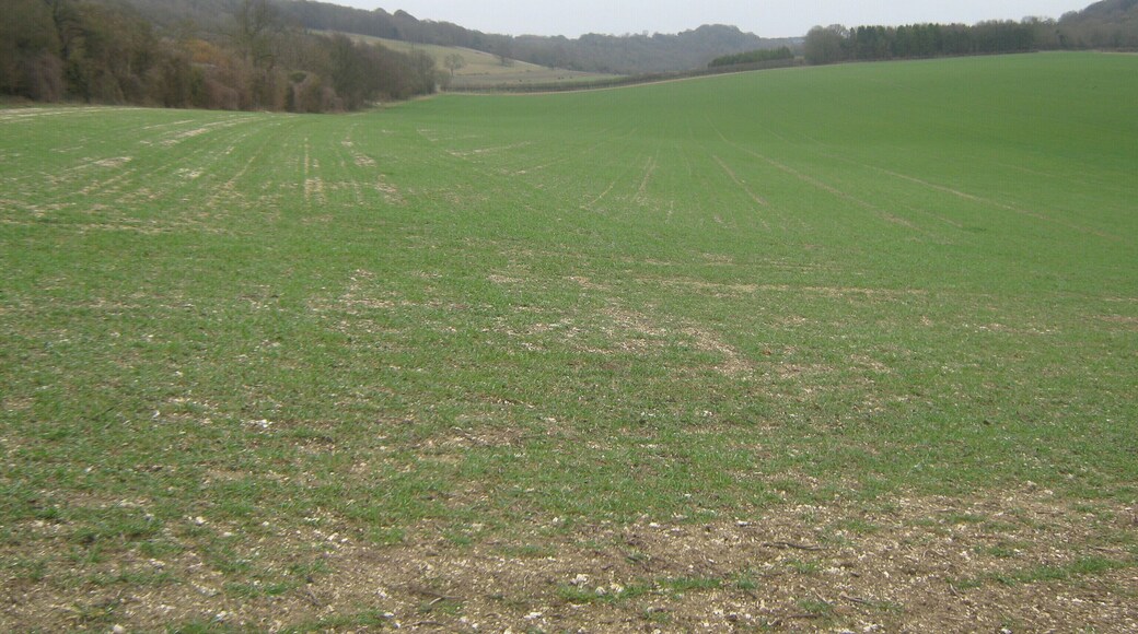 Crundale Downs Valley View from a footpath near Crundale House. Fanscombe Wood is on the right. Towns Wood is on the left.