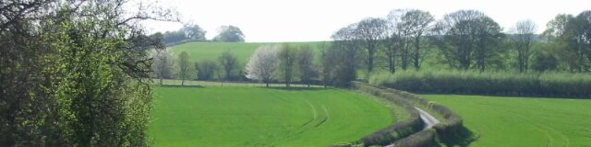 Small lane towards Crundale