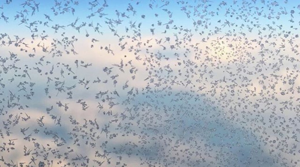 Must be chilly out there! #flyingback #iceflakes #blueskies
#Blue
#thecoldneverbotheredmeanyway ❄️😬❄️😬