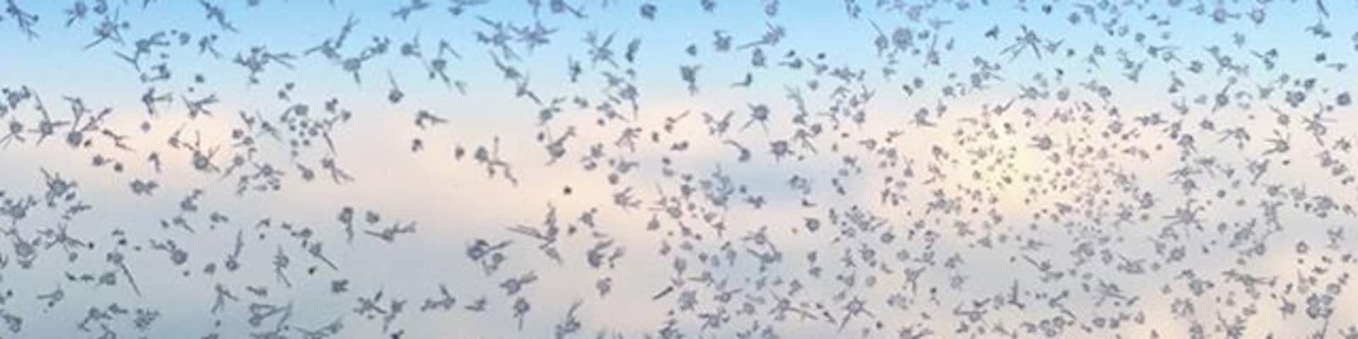 Must be chilly out there! #flyingback #iceflakes #blueskies
#Blue
#thecoldneverbotheredmeanyway ❄️😬❄️😬