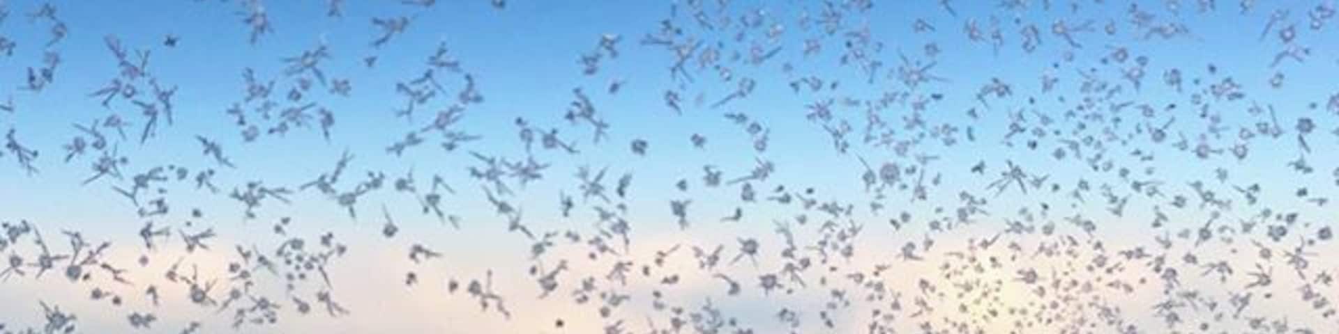 Must be chilly out there! #flyingback #iceflakes #blueskies
#Blue
#thecoldneverbotheredmeanyway ❄️😬❄️😬