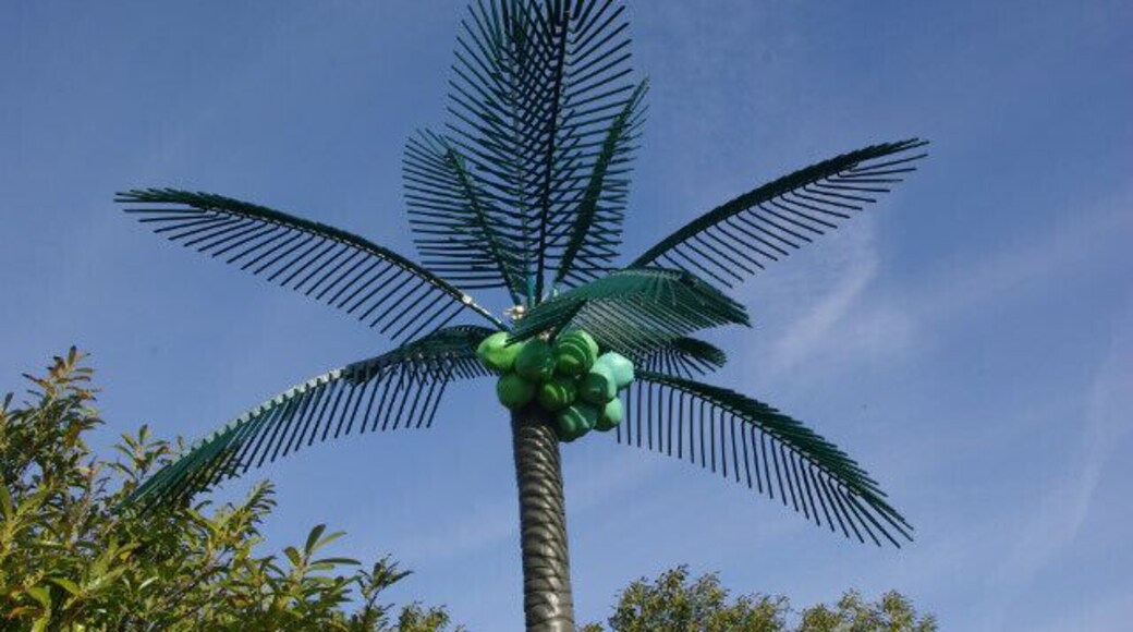 Plastic palm tree. This is one of a pair of plastic palm trees that stand by the entrance to the car park at the former Goji Chinese restaurant - although they may date back to the days when the building was 'Crazy Daisy's' - a night club. Presumably they were intended to give a hint of the orient, or to convince clubbers they were in Ibiza. Either way they are unbelievably tacky, and look distinctly odd standing next to a derelict building - for context see 1236285 .