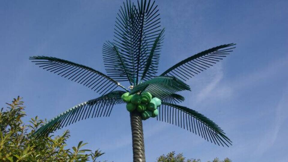 Plastic palm tree. This is one of a pair of plastic palm trees that stand by the entrance to the car park at the former Goji Chinese restaurant - although they may date back to the days when the building was 'Crazy Daisy's' - a night club. Presumably they were intended to give a hint of the orient, or to convince clubbers they were in Ibiza. Either way they are unbelievably tacky, and look distinctly odd standing next to a derelict building - for context see 1236285 .